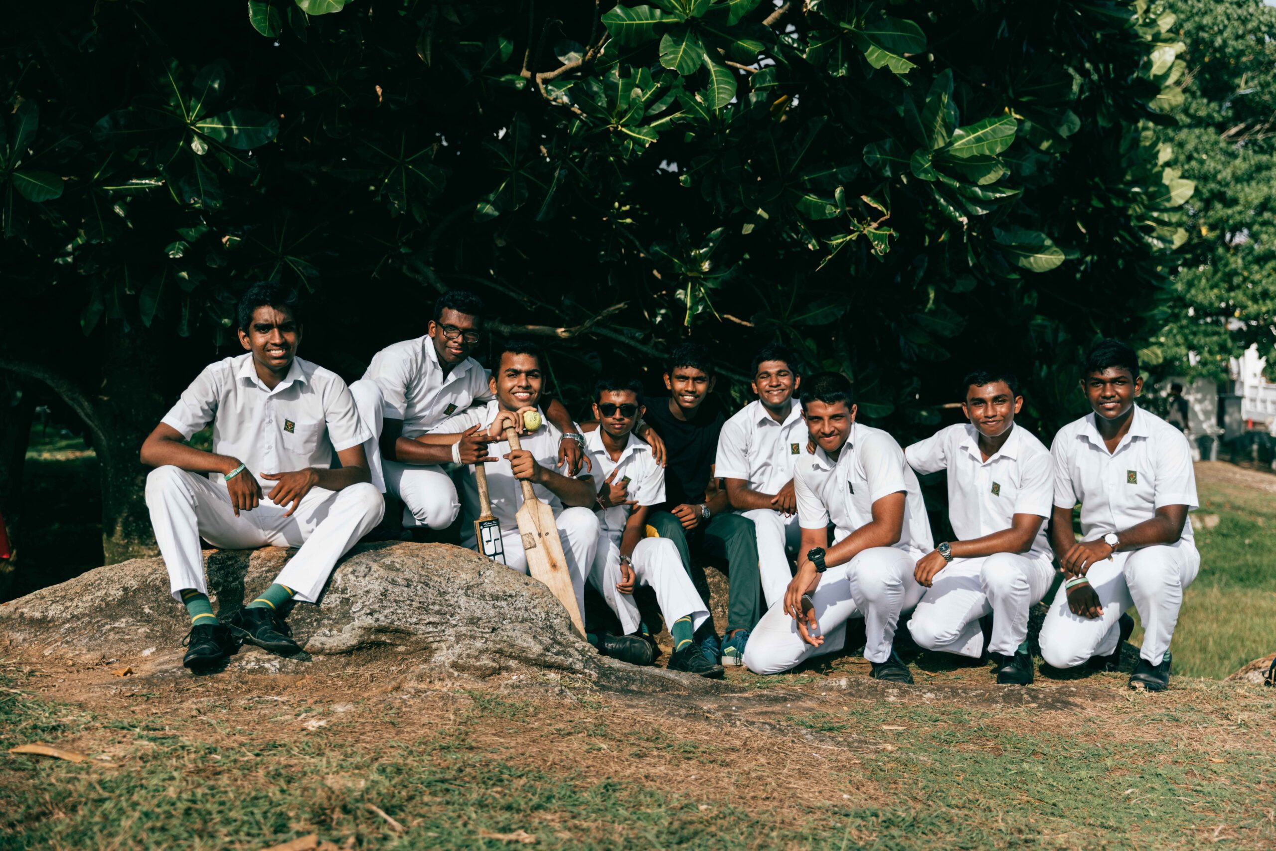 Galle | Summer Light Begetting Life in the Act of Demise